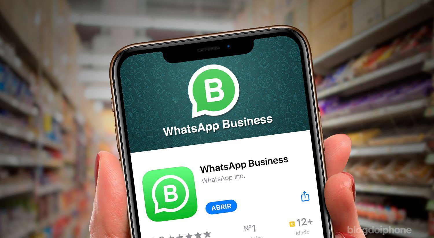 whatsapp business api